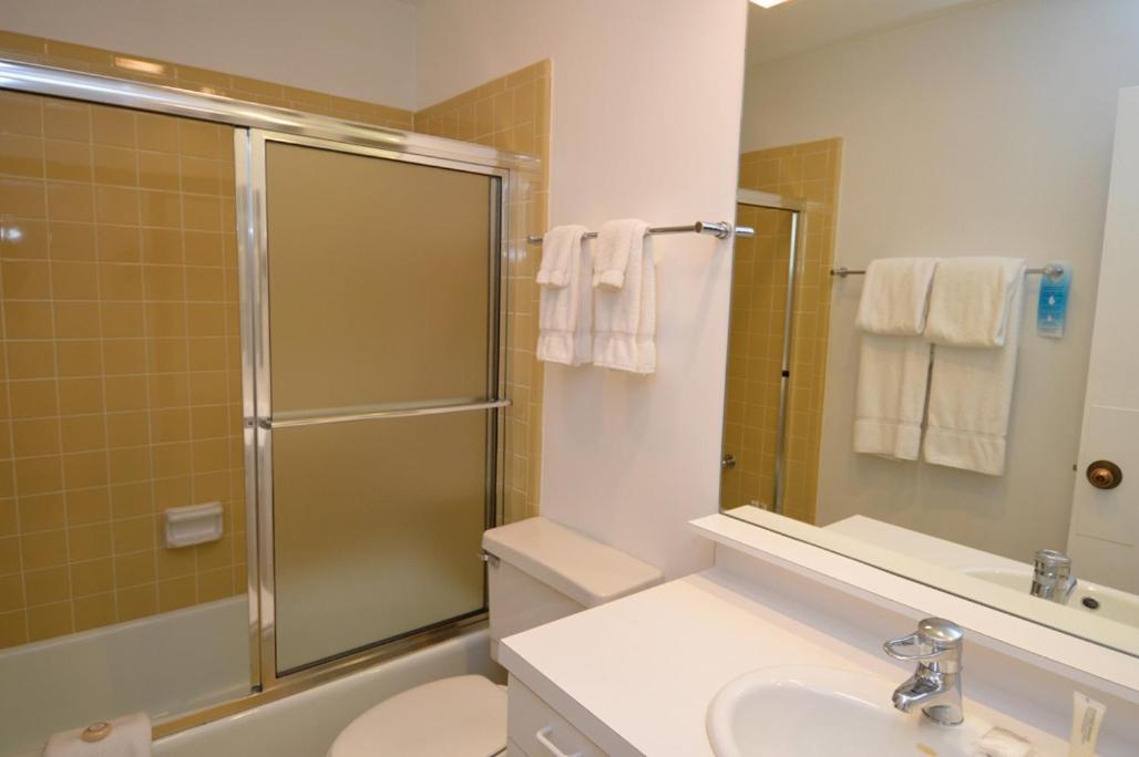 Riverview Unit 8, All The Essentials Riverside Condo With Access To Pool & Hot Tub Aspen Exterior photo